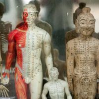 With the opioid crisis on the rise, acupuncture is more...